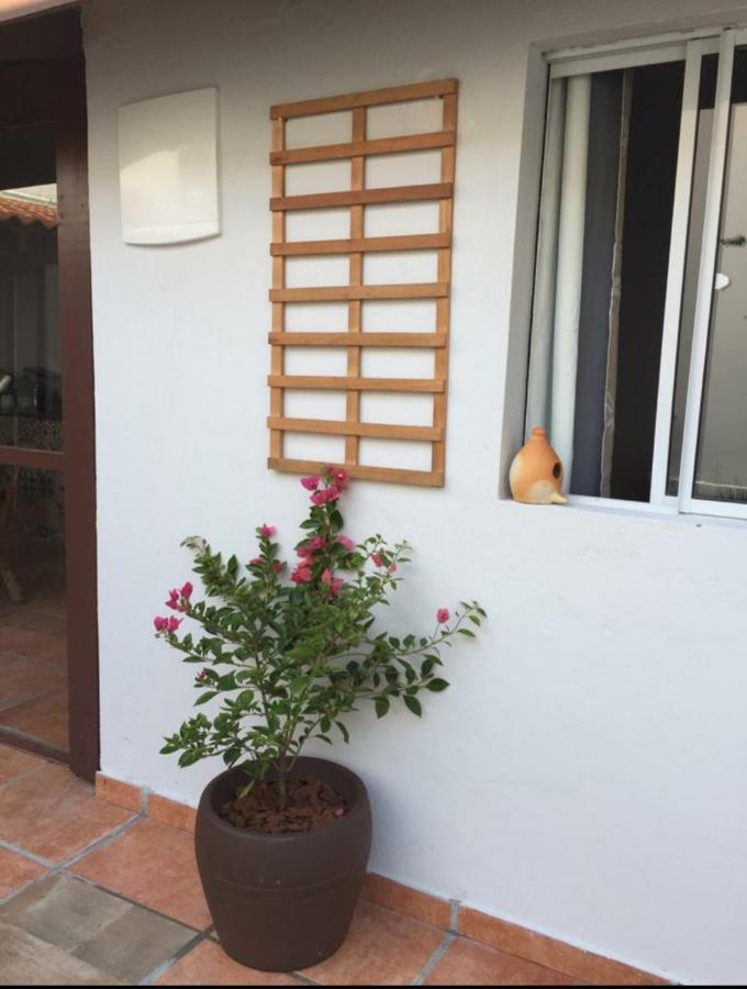 Praia Brava Guest House Suítes Itajaí Exterior foto
